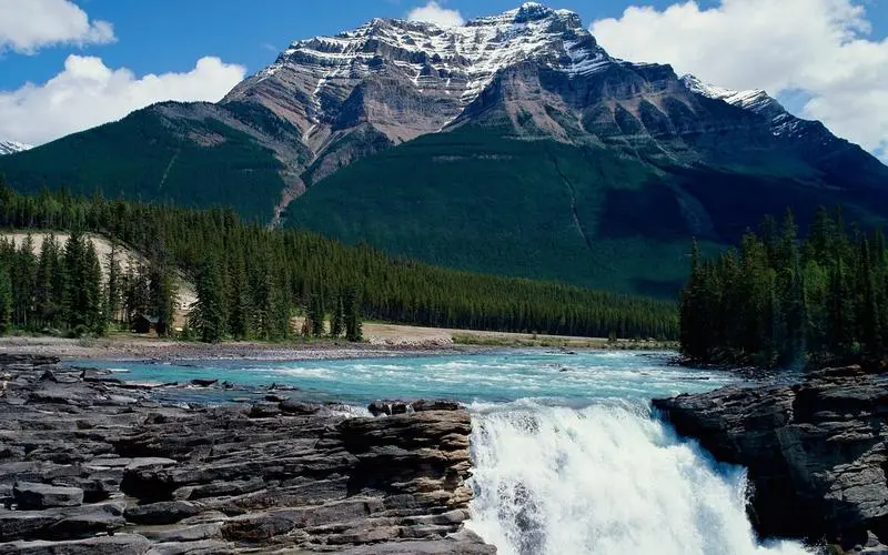 数字化高效科技